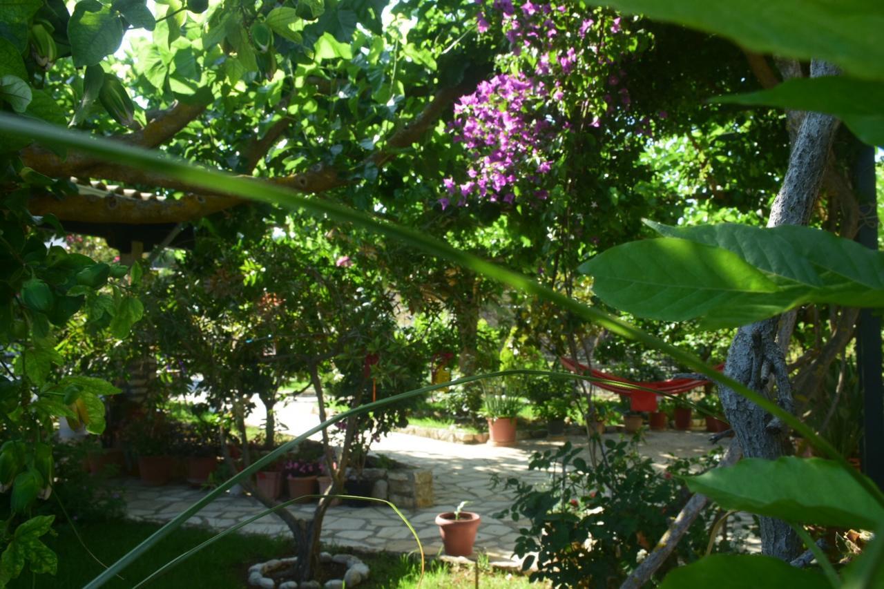 Sparto Village Spartokhorion Екстер'єр фото